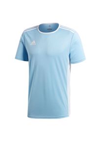 Adidas - Koszulka dla dzieci adidas Entrada 18 Jersey Junior błękitna. Kolor: niebieski. Materiał: jersey. Sport: piłka nożna