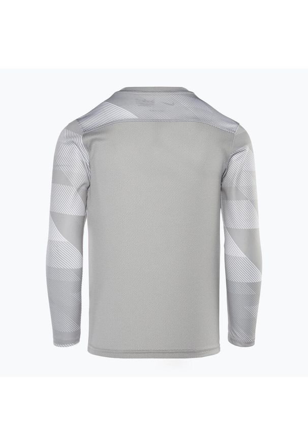 Koszulka bramkarska dziecięca Nike Dri-FIT Park IV Goalkeeper. Kolor: szary. Technologia: Dri-Fit (Nike)