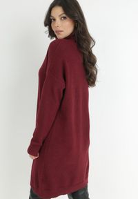 Born2be - Bordowa Sukienka Dzianinowa Classificator. Okazja: na co dzień. Typ kołnierza: golf. Kolor: czerwony. Materiał: dzianina. Długość rękawa: długi rękaw. Sezon: zima, jesień. Typ sukienki: proste. Styl: casual #3