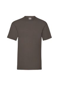 FRUIT OF THE LOOM - Męska Koszulka Valueweight. Kolor: brązowy