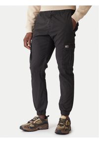 Tommy Jeans Spodnie materiałowe DM0DM22003 Szary Regular Fit. Kolor: szary. Materiał: bawełna #1
