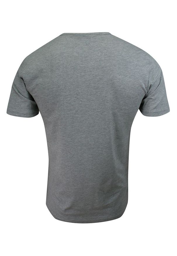 Pako Jeans - T-shirt Popielaty z Guzikami przy Kołnierzyku, Bawełniany, z Nadrukiem, Krótki Rękaw -PAKO JEANS. Okazja: na co dzień. Kolor: szary. Materiał: bawełna. Długość rękawa: krótki rękaw. Długość: krótkie. Wzór: nadruk. Styl: casual