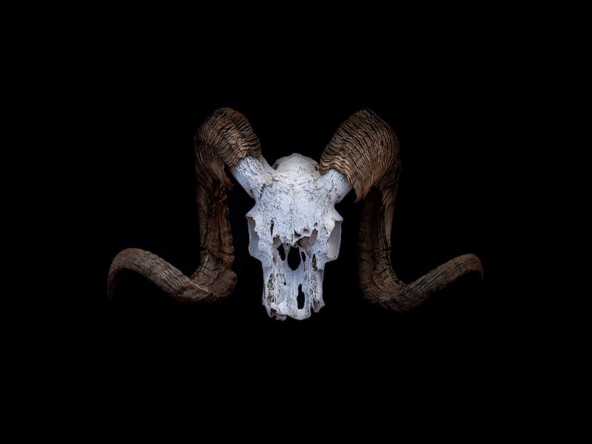 Alexander McQueen – projektant, który przekraczał granice stylu