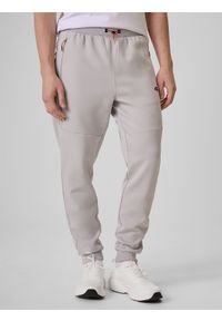 4f - 4F Spodnie dresowe joggery męskie - szare XL. Kolor: szary. Materiał: dresówka #2