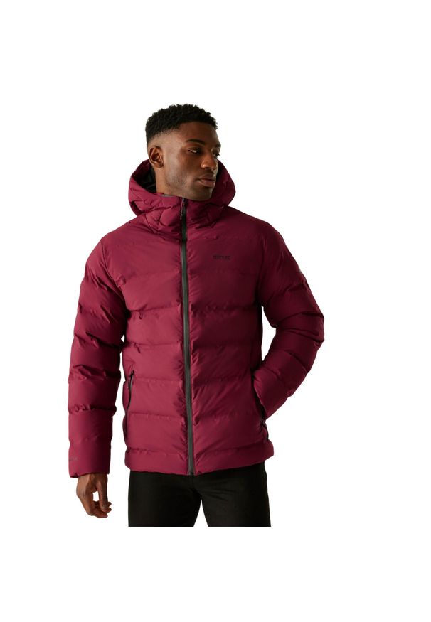 Regatta - Męska Wodoodporna Kurtka Termiczna Altoro. Kolor: czerwony. Materiał: puch. Sport: turystyka piesza