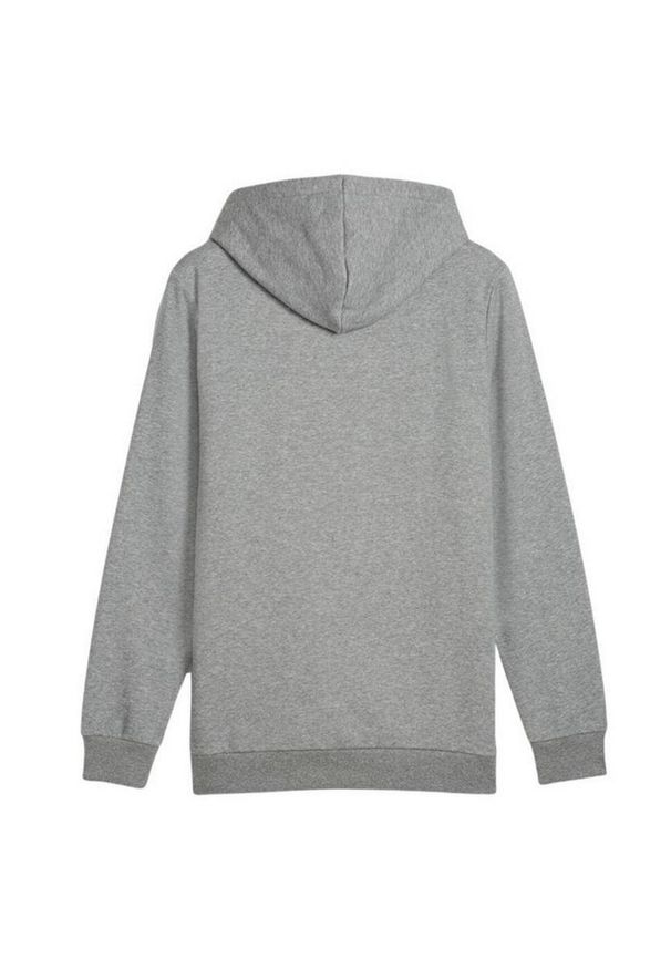 Puma - Damska Bluza Z Kapturem Ess+ Lab Z Gradientowym Logo. Typ kołnierza: kaptur. Kolor: brązowy. Wzór: gradientowy