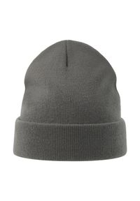 ATLANTIS - Czapka Unisex Dla Dorosłych Pier Polartech Lined Beanie. Kolor: szary. Sezon: zima