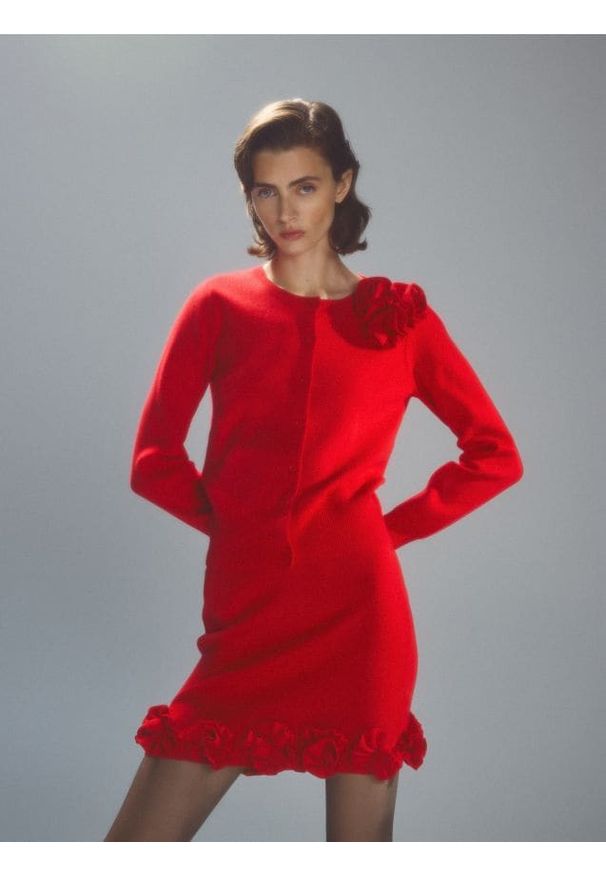 Reserved - Spódnica z ozdobną aplikacją - czerwony. Kolor: czerwony. Materiał: wiskoza, dzianina. Wzór: aplikacja