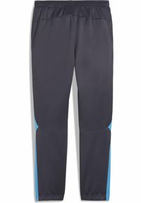 Puma - Męskie spodnie Olympique de Marseille ftblNRGY+ PUMA. Kolor: wielokolorowy, beżowy, szary