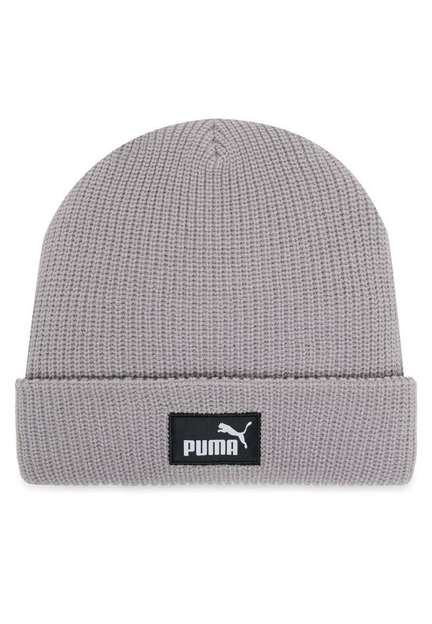 Czapka Puma. Kolor: szary