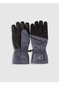 4f - 4F Rękawiczki narciarskie Thinsulate membrana 5000 męskie - szare M. Kolor: szary. Technologia: Thinsulate. Wzór: paski. Sezon: zima. Sport: narciarstwo #1