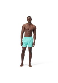 Spodenki szorty plażowe na basen męskie Speedo Prime Leisure. Kolor: zielony