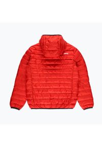 Prosto - Kurtka zimowa męska PROSTO Ultralight. Kolor: czerwony. Sezon: zima. Sport: turystyka piesza