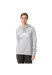 Bluza z kapturem damska Helly Hansen Nord Graphic Pullover Hoodie. Typ kołnierza: kaptur. Kolor: szary