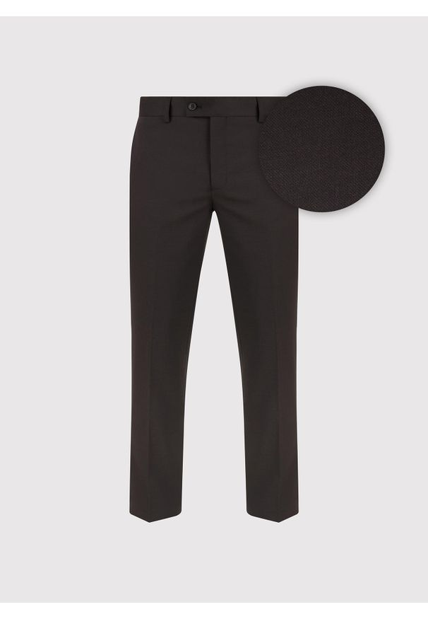 Pako Lorente - PAKO LORENTE – Brązowe spodnie garniturowe. Okazja: na spotkanie biznesowe. Kolor: brązowy. Materiał: wełna, poliester. Styl: biznesowy