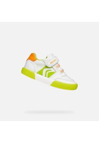 Trenerzy dla chłopców Geox Gisli A. Kolor: zielony, biały, wielokolorowy. Sport: turystyka piesza #1