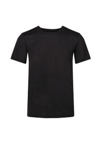 Regatta - Męska koszulka Fingal Edition czarna. Kolor: czarny. Materiał: poliester. Długość rękawa: krótki rękaw. Długość: krótkie. Sport: turystyka piesza #1
