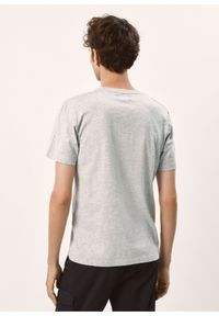 Ochnik - Szary basic T-shirt męski. Kolor: szary. Materiał: bawełna. Długość: krótkie #2