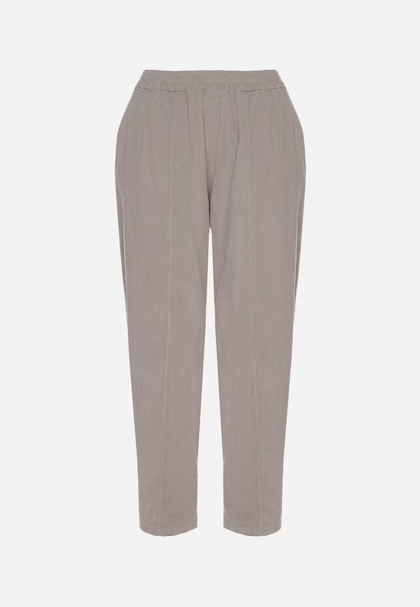 Born2be - Szare Klasyczne Spodnie z Bawełny z Wysokim Stanem Isesi. Okazja: na co dzień. Stan: podwyższony. Kolor: szary. Materiał: bawełna. Styl: klasyczny