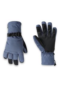 DARE 2B - Rękawice męskie narciarskie Pinnacle wodoodporne Dare 2b. Kolor: niebieski. Materiał: tkanina. Sport: narciarstwo #1