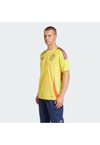 Adidas - Belgijski strój wyjazdowy 2025. Kolor: żółty. Materiał: materiał. Sport: piłka nożna