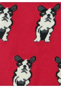 His Story - Tematyczne Skarpetki Bawełniane - Psy na Czerwonym Tle. Kolor: czerwony. Materiał: elastan, bawełna, poliamid #4