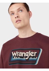 Wrangler - MESKA BLUZA GRAPHIC CREW BROWN 112341238 #5