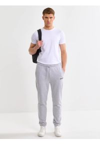 Big-Star - Spodnie męskie dresowe szare Brutus 901. Kolekcja: plus size. Kolor: szary. Materiał: dresówka. Wzór: nadruk, aplikacja #4