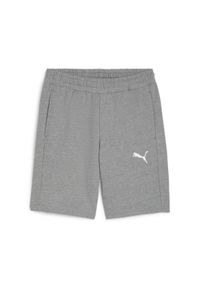 Spodenki sportowe męskie Puma teamGOAL Casuals. Kolor: szary