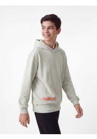 Reserved - Bluza z kapturem - jasnozielony. Typ kołnierza: kaptur. Kolor: zielony. Materiał: bawełna, dzianina #1
