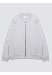 Big-Star - Bluza męska rozpinana ze stójką szara Raiden 901. Okazja: na co dzień. Typ kołnierza: kołnierzyk stójkowy. Kolor: szary. Materiał: materiał, jeans. Styl: casual #2