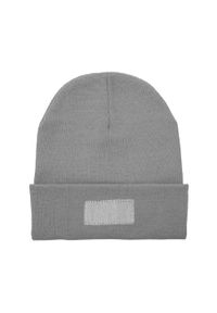 STAMINA - Bulnes Beanie. Kolor: szary
