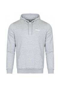 Bluza z kapturem męskie Puma Men Ess Small Logo Hoody. Typ kołnierza: kaptur. Kolor: szary. Materiał: materiał, bawełna