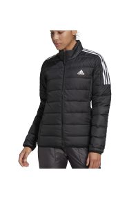 Adidas - Kurtka adidas Essentials Down Parka GH4593 - czarna. Kolor: czarny. Materiał: materiał, poliester, puch, syntetyk. Styl: klasyczny, elegancki