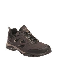 Holcombe IEP Low Regatta męskie trekkingowe buty. Kolor: brązowy. Materiał: poliester. Sport: turystyka piesza