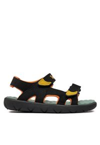 Timberland Sandały Perkins Row 2 Strap Sandal TB0A43EAEDN1 Czarny. Kolor: czarny