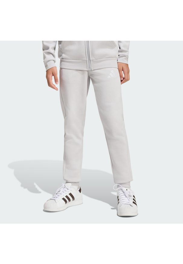 Adidas - Dziecięce spodnie dresowe Entrada26. Kolor: szary, wielokolorowy, biały. Materiał: dresówka. Sport: piłka nożna