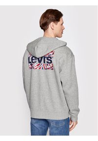 Levi's® Bluza Graphic 38717-0006 Szary Relaxed Fit. Kolor: szary. Materiał: bawełna