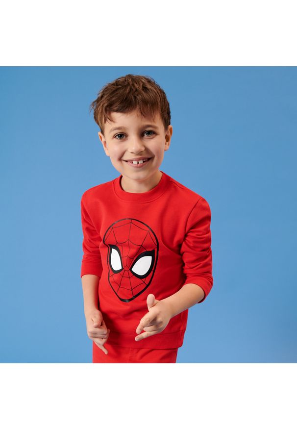 Sinsay - Bluza Spiderman - Czerwony. Kolor: czerwony. Wzór: motyw z bajki