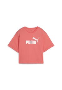 Puma - Damska luźna koszulka z logo NO.1 ESS Cropped PUMA Peach Frost Red. Kolor: czerwony. Materiał: jeans. Wzór: nadruk. Sport: fitness