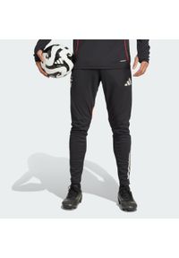 Adidas - Spodnie Benfica Tiro 25 Competition Training. Kolor: czarny