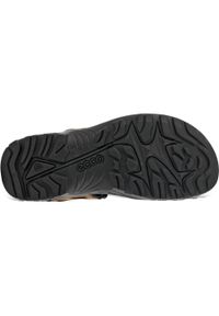 ecco - Buty trekkingowe męskie Ecco Offroad Sierra. Zapięcie: rzepy. Kolor: wielokolorowy, czarny, brązowy. Materiał: materiał, skóra, syntetyk