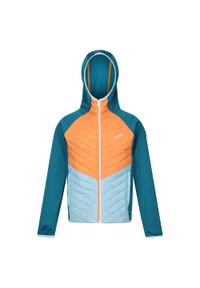 Regatta - Kurtka Dziecięca/dziecięca Kielder Hybrid VII Padded Jacket. Kolor: pomarańczowy, niebieski, wielokolorowy