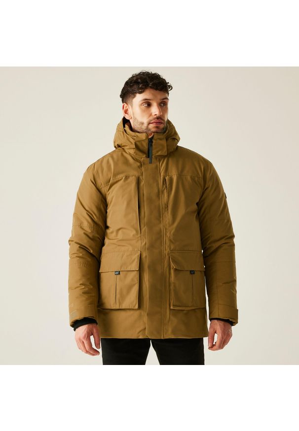 Regatta - Kurtka męska zimowa ocieplana przeciwdeszczowa Marron. Kolor: brązowy. Materiał: tkanina, bawełna, puch. Sezon: zima. Sport: turystyka piesza