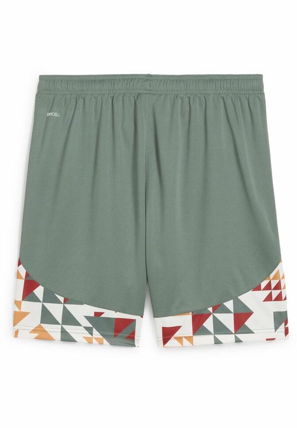 Puma - Męskie szorty Palermo F.C. 24/25 PUMA Eucalyptus Green. Kolor: biały, wielokolorowy, zielony