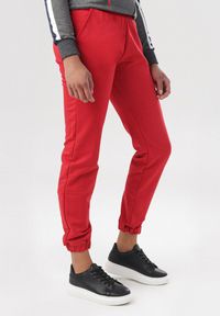 Born2be - Czerwone Spodnie Dresowe Felyera. Kolor: czerwony. Materiał: dresówka. Długość: długie