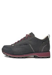 Dolomite Trekkingi W'S 54 Low Fg Evo Gtx GORE-TEX 292534 Szary. Kolor: szary