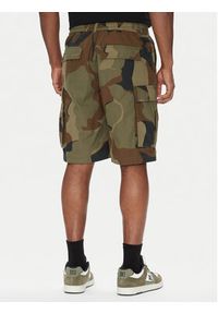 DC Szorty materiałowe Tundra ADYWS03086 Zielony Regular Fit. Kolor: zielony. Materiał: bawełna #5