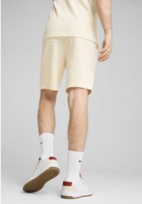 Puma - Męskie szorty Essentials Elevated Structured 9" PUMA No Dye Color Mix