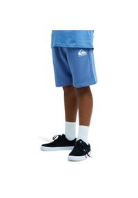 Quiksilver - Spodenki z elastyczną talią dla Chłopcy EASY DAY Niebieski. Kolor: zielony. Materiał: poliester, bawełna, tkanina. Długość: krótkie. Sezon: lato #1